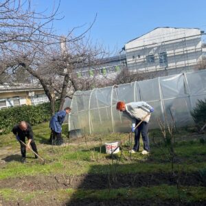 Radna akcija u župnom dvorištu župe sv. Petra apostola u Ivanić-Gradu u subotu 7. ožujka 2026.
